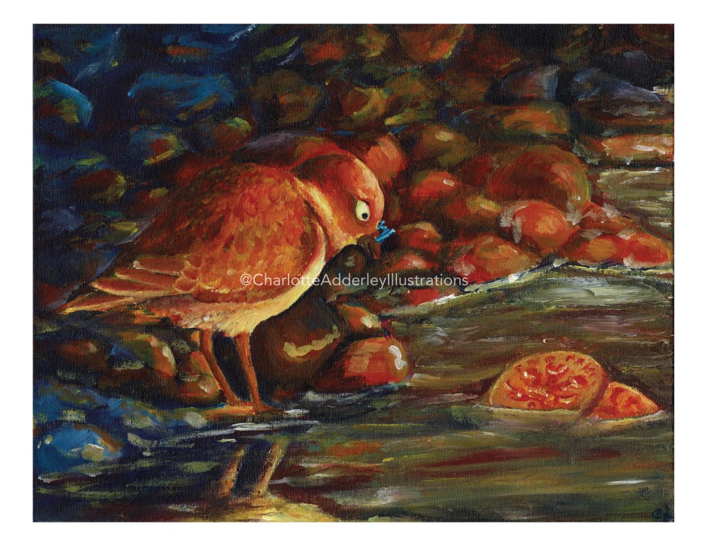 small wader bird looking at a 2p coin along a pebbled shore