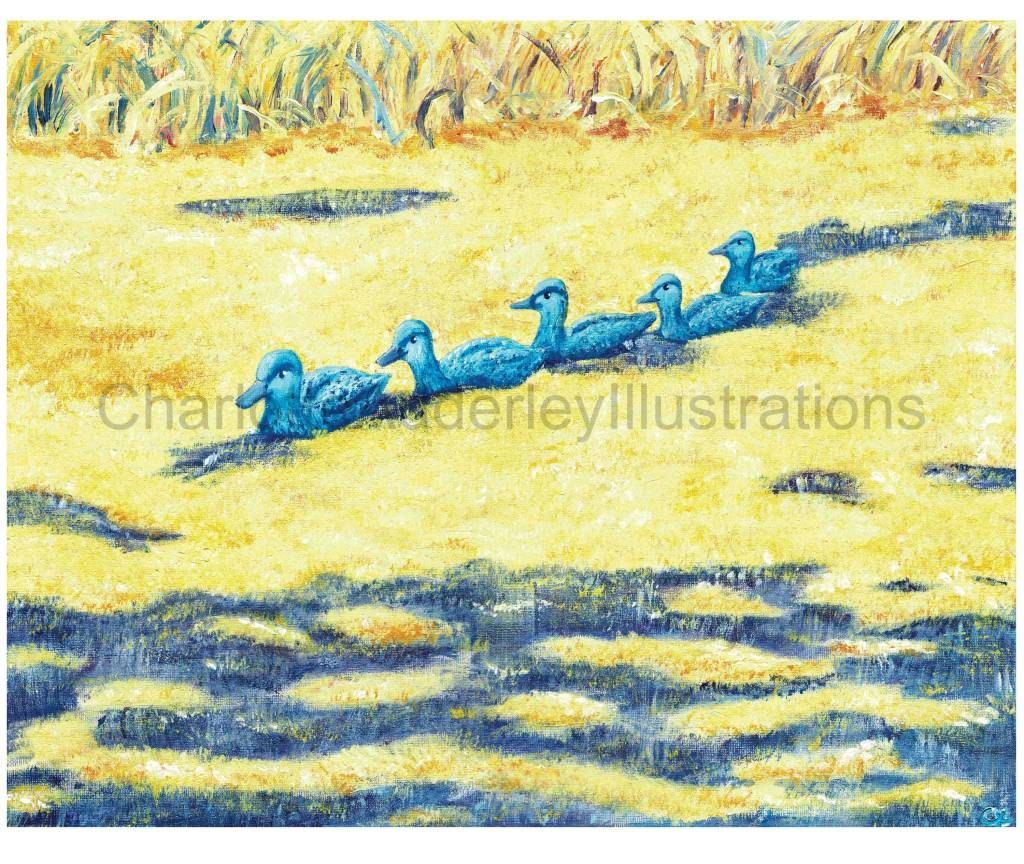 Five blue ducks swimming in a row through yellow algae river