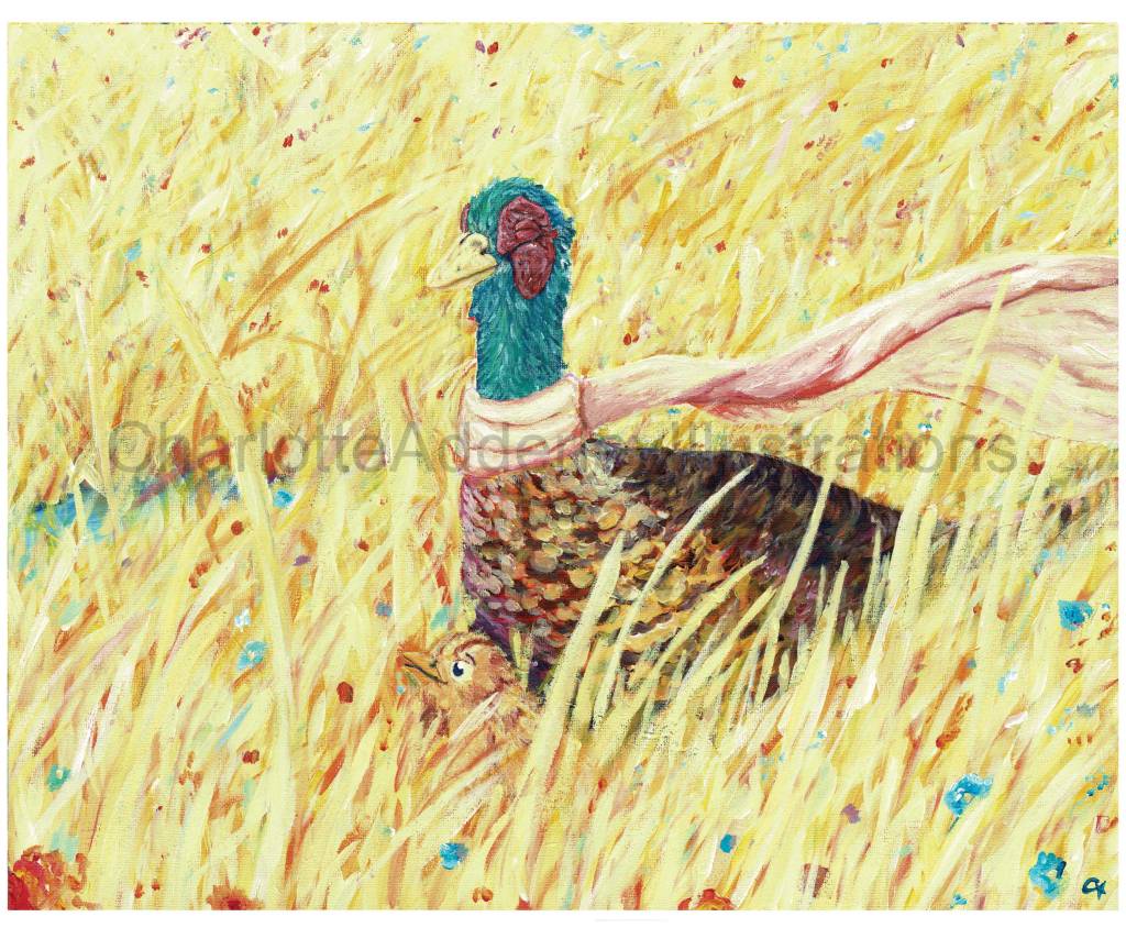 Grandparent pheasant enjoying a day in the long grass with their pheasant grandchild